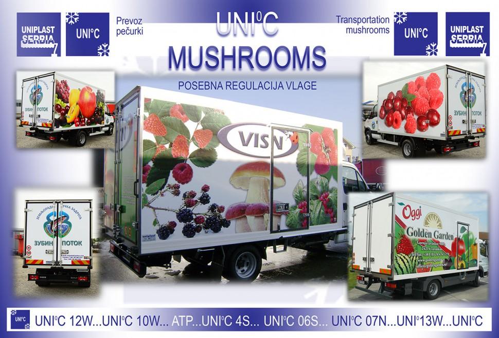 MUSHROOMS - hladnjače za prevoz pečurki